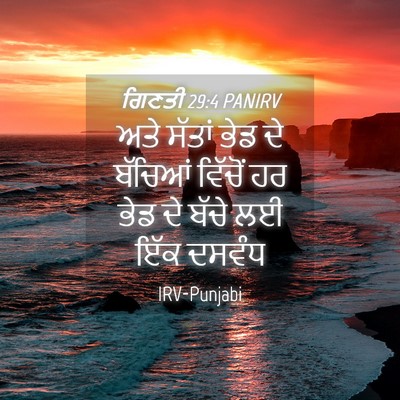 Picture 04 - ਗਿਣਤੀ 29:4 PANIRV - ਅਤੇ ਸੱਤਾਂ ਭੇਡ ਦੇ - Bible Verse Picture