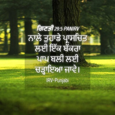 Picture 04 - ਗਿਣਤੀ 29:5 PANIRV - ਨਾਲੇ ਤੁਹਾਡੇ - Bible Verse Picture