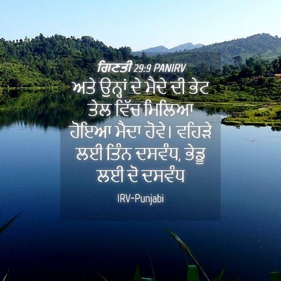 Picture 04 - ਗਿਣਤੀ 29:9 PANIRV - ਅਤੇ ਉਨ੍ਹਾਂ ਦੇ ਮੈਦੇ - Bible Verse Picture