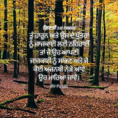 Picture 04 - ਗਿਣਤੀ 3:10 PANIRV - ਤੂੰ ਹਾਰੂਨ ਅਤੇ ਉਸ ਦੇ - Bible Verse Picture