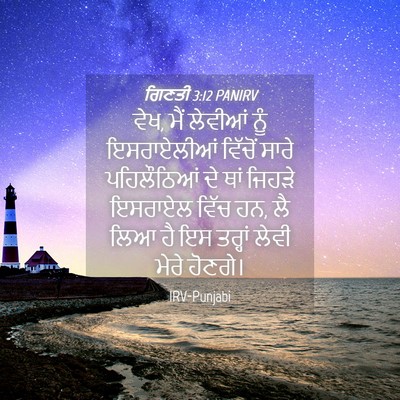 Picture 04 - ਗਿਣਤੀ 3:12 PANIRV - ਵੇਖ, ਮੈਂ ਲੇਵੀਆਂ ਨੂੰ - Bible Verse Picture