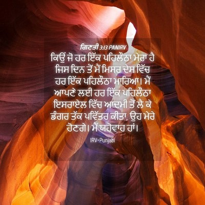 Picture 04 - ਗਿਣਤੀ 3:13 PANIRV - ਕਿਉਂ ਜੋ ਹਰ ਇੱਕ - Bible Verse Picture
