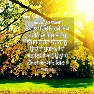 Picture 04 - ਗਿਣਤੀ 3:15 PANIRV - ਲੇਵੀਆਂ ਵਿੱਚੋਂ - Bible Verse Picture