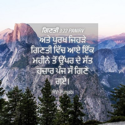 Picture 04 - ਗਿਣਤੀ 3:22 PANIRV - ਅਤੇ ਪੁਰਖ ਜਿਹੜੇ - Bible Verse Picture