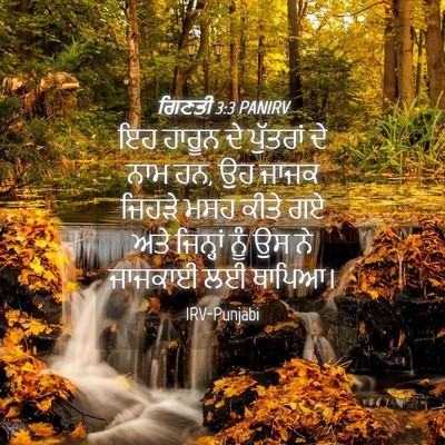 Picture 04 - ਗਿਣਤੀ 3:3 PANIRV - ਇਹ ਹਾਰੂਨ ਦੇ - Bible Verse Picture