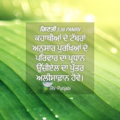 Picture 04 - ਗਿਣਤੀ 3:30 PANIRV - ਕਹਾਥੀਆਂ ਦੇ ਟੱਬਰਾਂ - Bible Verse Picture
