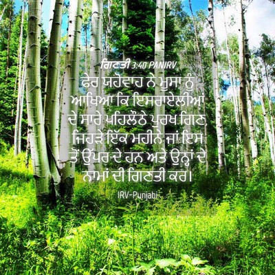 Picture 04 - ਗਿਣਤੀ 3:40 PANIRV - ਫੇਰ ਯਹੋਵਾਹ ਨੇ ਮੂਸਾ - Bible Verse Picture