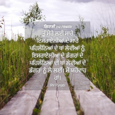 Picture 04 - ਗਿਣਤੀ 3:41 PANIRV - ਤੂੰ ਮੇਰੇ ਲਈ ਸਾਰੇ - Bible Verse Picture
