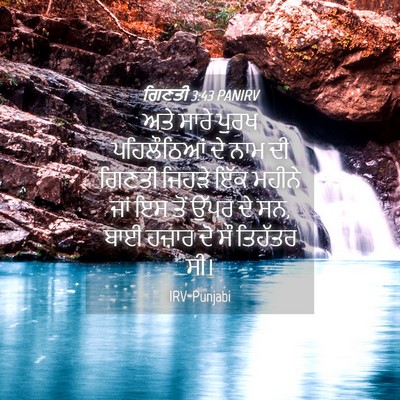 Picture 04 - ਗਿਣਤੀ 3:43 PANIRV - ਅਤੇ ਸਾਰੇ ਪੁਰਖ - Bible Verse Picture
