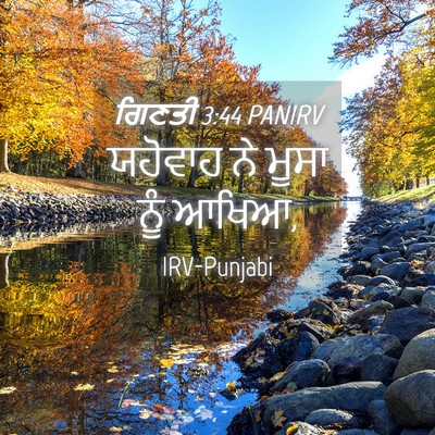 Picture 04 - ਗਿਣਤੀ 3:44 PANIRV - ਯਹੋਵਾਹ ਨੇ ਮੂਸਾ ਨੂੰ - Bible Verse Picture