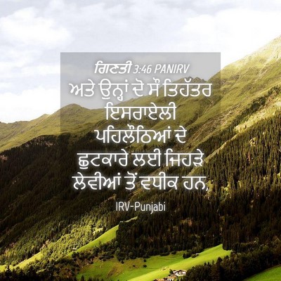 Picture 04 - ਗਿਣਤੀ 3:46 PANIRV - ਅਤੇ ਉਨ੍ਹਾਂ ਦੋ ਸੌ - Bible Verse Picture