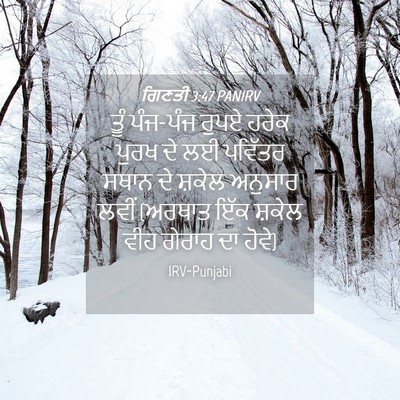 Picture 04 - ਗਿਣਤੀ 3:47 PANIRV - ਤੂੰ ਪੰਜ-ਪੰਜ ਰੁਪਏ - Bible Verse Picture