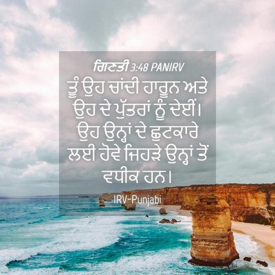 Picture 04 - ਗਿਣਤੀ 3:48 PANIRV - ਤੂੰ ਉਹ ਚਾਂਦੀ ਹਾਰੂਨ - Bible Verse Picture