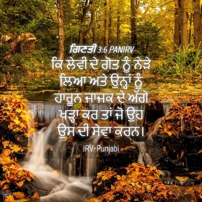Picture 04 - ਗਿਣਤੀ 3:6 PANIRV - ਕਿ ਲੇਵੀ ਦੇ ਗੋਤ ਨੂੰ - Bible Verse Picture