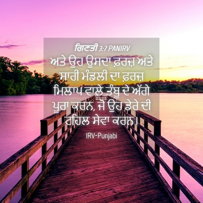 Picture 04 - ਗਿਣਤੀ 3:7 PANIRV - ਅਤੇ ਉਹ ਉਸਦਾ ਫ਼ਰਜ਼ - Bible Verse Picture