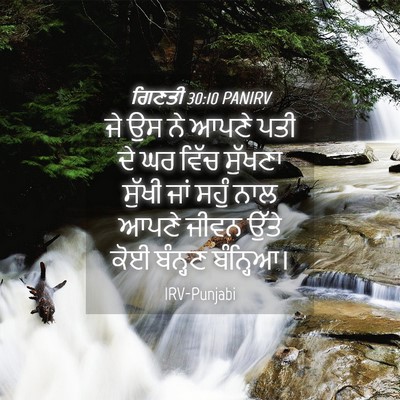 Picture 04 - ਗਿਣਤੀ 30:10 PANIRV - ਜੇ ਉਸ ਨੇ ਆਪਣੇ ਪਤੀ - Bible Verse Picture