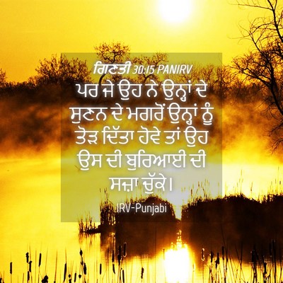 Picture 04 - ਗਿਣਤੀ 30:15 PANIRV - ਪਰ ਜੇ ਉਹ ਨੇ ਉਨ੍ਹਾਂ - Bible Verse Picture