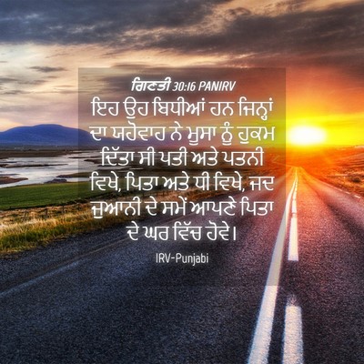 Picture 04 - ਗਿਣਤੀ 30:16 PANIRV - ਇਹ ਉਹ ਬਿਧੀਆਂ ਹਨ - Bible Verse Picture