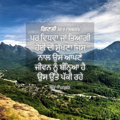 Picture 04 - ਗਿਣਤੀ 30:9 PANIRV - ਪਰ ਵਿਧਵਾ ਜਾਂ ਤਿਆਗੀ - Bible Verse Picture