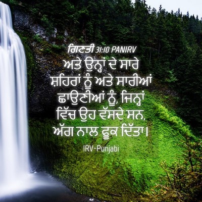 Picture 04 - ਗਿਣਤੀ 31:10 PANIRV - ਅਤੇ ਉਨ੍ਹਾਂ ਦੇ ਸਾਰੇ - Bible Verse Picture