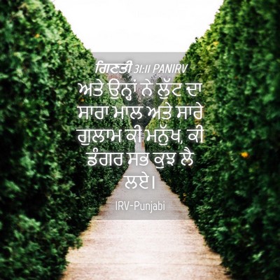 Picture 04 - ਗਿਣਤੀ 31:11 PANIRV - ਅਤੇ ਉਨ੍ਹਾਂ ਨੇ ਲੁੱਟ - Bible Verse Picture