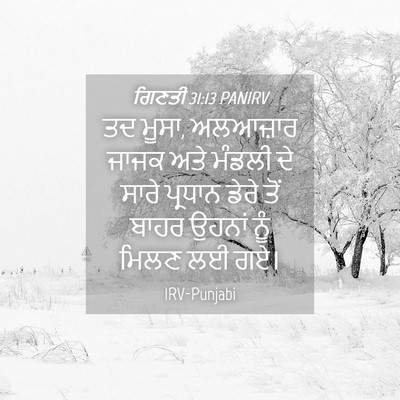 Picture 04 - ਗਿਣਤੀ 31:13 PANIRV - ਤਦ ਮੂਸਾ, ਅਲਆਜ਼ਾਰ - Bible Verse Picture