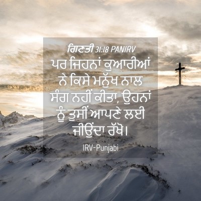Picture 04 - ਗਿਣਤੀ 31:18 PANIRV - ਪਰ ਜਿਹਨਾਂ ਕੁਆਰੀਆਂ - Bible Verse Picture