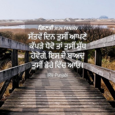 Picture 04 - ਗਿਣਤੀ 31:24 PANIRV - ਸੱਤਵੇਂ ਦਿਨ ਤੁਸੀਂ - Bible Verse Picture