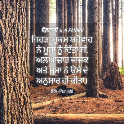 Picture 04 - ਗਿਣਤੀ 31:31 PANIRV - ਜਿਹੜਾ ਹੁਕਮ ਯਹੋਵਾਹ - Bible Verse Picture