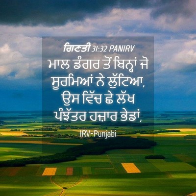 Picture 04 - ਗਿਣਤੀ 31:32 PANIRV - ਮਾਲ ਡੰਗਰ ਤੋਂ - Bible Verse Picture