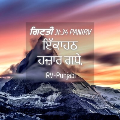 Picture 04 - ਗਿਣਤੀ 31:34 PANIRV - ਇੱਕਾਹਠ ਹਜ਼ਾਰ - Bible Verse Picture