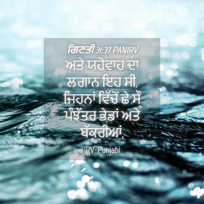 Picture 04 - ਗਿਣਤੀ 31:37 PANIRV - ਅਤੇ ਯਹੋਵਾਹ ਦਾ ਲਗਾਨ - Bible Verse Picture