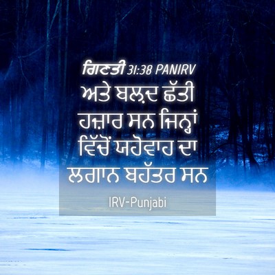 Picture 04 - ਗਿਣਤੀ 31:38 PANIRV - ਅਤੇ ਬਲ਼ਦ ਛੱਤੀ - Bible Verse Picture