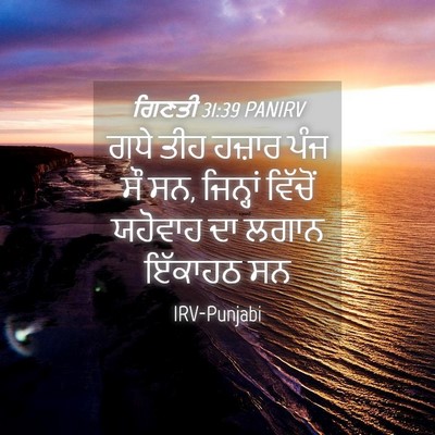 Picture 04 - ਗਿਣਤੀ 31:39 PANIRV - ਗਧੇ ਤੀਹ ਹਜ਼ਾਰ ਪੰਜ - Bible Verse Picture