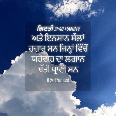 Picture 04 - ਗਿਣਤੀ 31:40 PANIRV - ਅਤੇ ਇਨਸਾਨ ਸੌਲਾਂ - Bible Verse Picture