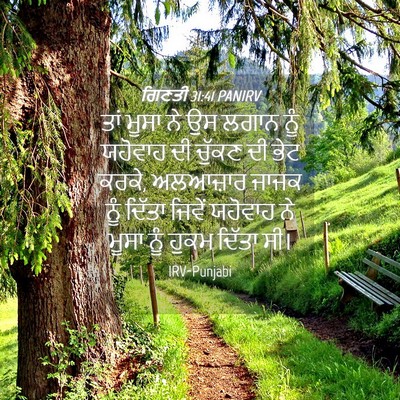 Picture 04 - ਗਿਣਤੀ 31:41 PANIRV - ਤਾਂ ਮੂਸਾ ਨੇ ਉਸ ਲਗਾਨ - Bible Verse Picture
