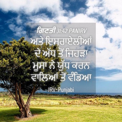 Picture 04 - ਗਿਣਤੀ 31:42 PANIRV - ਅਤੇ ਇਸਰਾਏਲੀਆਂ ਦੇ - Bible Verse Picture