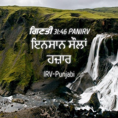 Picture 04 - ਗਿਣਤੀ 31:46 PANIRV - ਇਨਸਾਨ ਸੌਲਾਂ - Bible Verse Picture