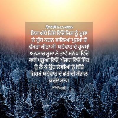 Picture 04 - ਗਿਣਤੀ 31:47 PANIRV - ਇਸ ਅੱਧੇ ਹਿੱਸੇ - Bible Verse Picture