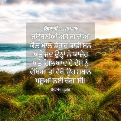 Picture 04 - ਗਿਣਤੀ 32:1 PANIRV - ਰਊਬੇਨੀਆਂ ਅਤੇ - Bible Verse Picture