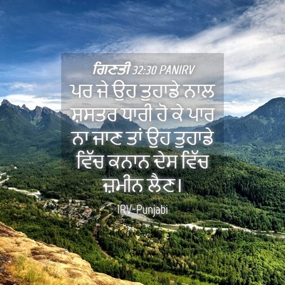 Picture 04 - ਗਿਣਤੀ 32:30 PANIRV - ਪਰ ਜੇ ਉਹ ਤੁਹਾਡੇ ਨਾਲ - Bible Verse Picture