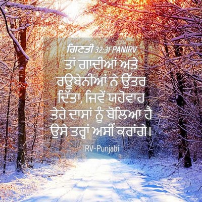 Picture 04 - ਗਿਣਤੀ 32:31 PANIRV - ਤਾਂ ਗਾਦੀਆਂ ਅਤੇ - Bible Verse Picture