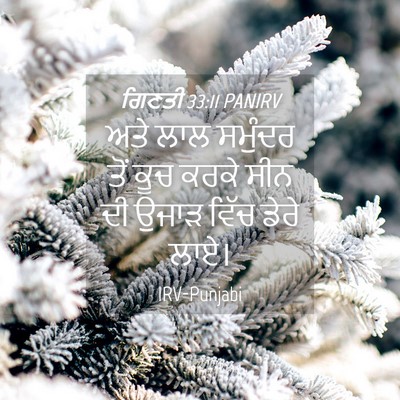 Picture 04 - ਗਿਣਤੀ 33:11 PANIRV - ਅਤੇ ਲਾਲ ਸਮੁੰਦਰ ਤੋਂ - Bible Verse Picture
