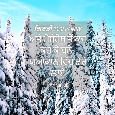Picture 04 - ਗਿਣਤੀ 33:31 PANIRV - ਅਤੇ ਮੋਸੇਰੋਥ ਤੋਂ - Bible Verse Picture