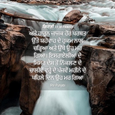 Picture 04 - ਗਿਣਤੀ 33:38 PANIRV - ਅਤੇ ਹਾਰੂਨ ਜਾਜਕ ਹੋਰ - Bible Verse Picture