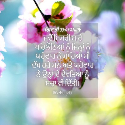 Picture 04 - ਗਿਣਤੀ 33:4 PANIRV - ਜਦੋਂ ਮਿਸਰੀ ਸਾਰੇ - Bible Verse Picture