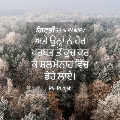 Picture 04 - ਗਿਣਤੀ 33:41 PANIRV - ਅਤੇ ਉਨ੍ਹਾਂ ਨੇ ਹੋਰ - Bible Verse Picture