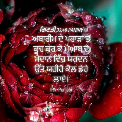 Picture 04 - ਗਿਣਤੀ 33:48 PANIRV - ਅਬਾਰੀਮ ਦੇ ਪਹਾੜਾਂ - Bible Verse Picture