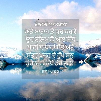 Picture 04 - ਗਿਣਤੀ 33:9 PANIRV - ਅਤੇ ਮਾਰਾਹ ਤੋਂ ਕੂਚ - Bible Verse Picture