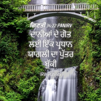 Picture 04 - ਗਿਣਤੀ 34:22 PANIRV - ਦਾਨੀਆਂ ਦੇ ਗੋਤ ਲਈ - Bible Verse Picture